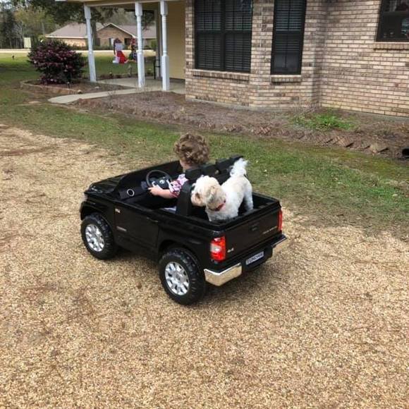 Meet your Posher, Mikelisa - Picture 1 of 1